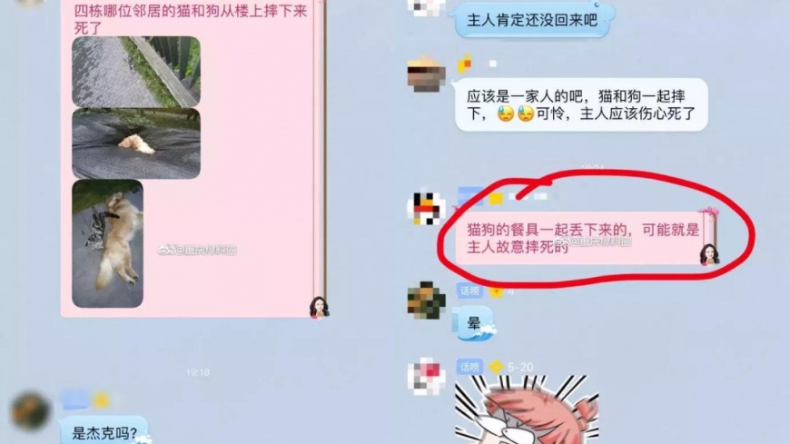 圖/截自微博