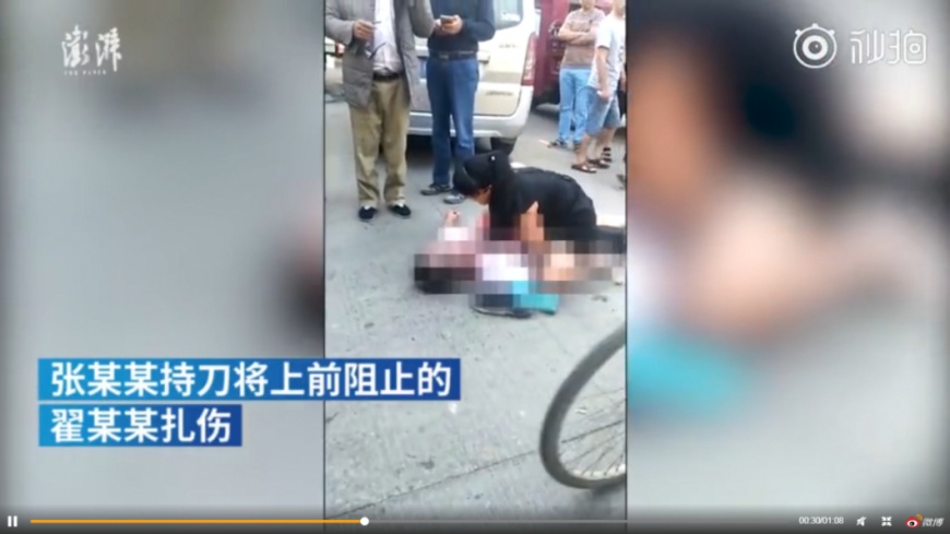 截自澎湃新聞