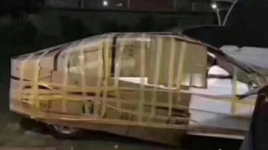 圖/翻攝自我是九毒草微博