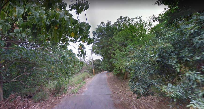 上賞鷹平台前的小路。圖/翻攝自Google Map
