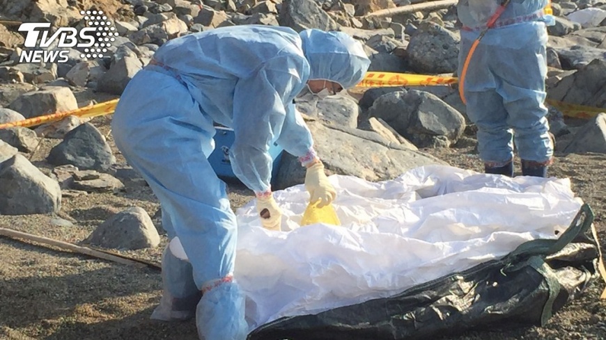 馬祖無人島死豬　確認驗出「非洲豬瘟」病毒