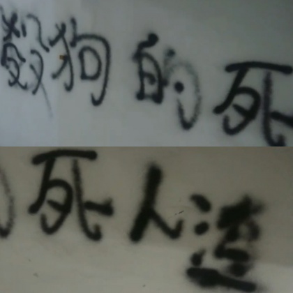 圖/民眾提供