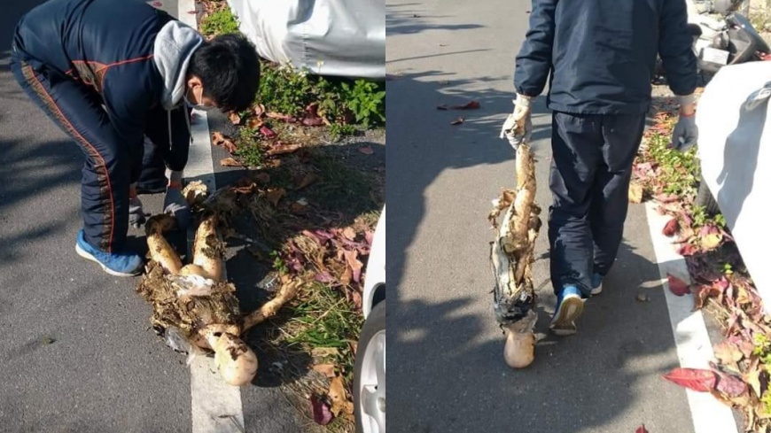 圖／翻攝自爆怨公社臉書