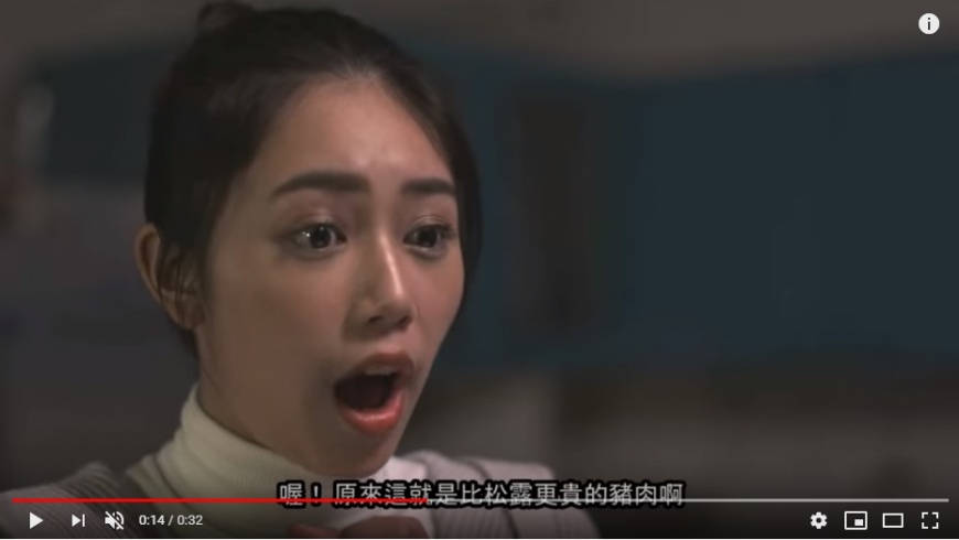 圖／截取自陸委會youtube