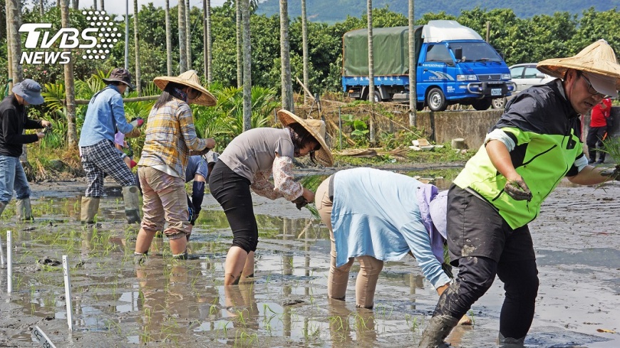 【觀點】農地變更變容易? 工輔法葬送農地污染食物鏈