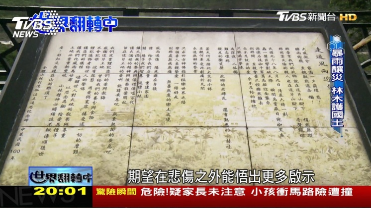 八八風災10年啟示 「中層疏伐」留住未來木