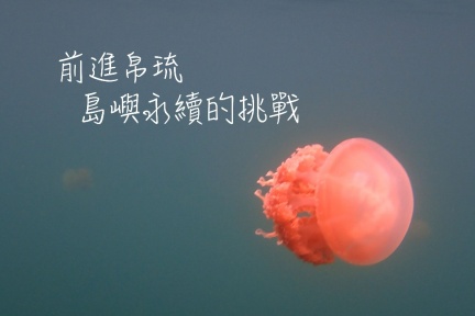 全球華文永續報導獎 TVBS入圍七項最多