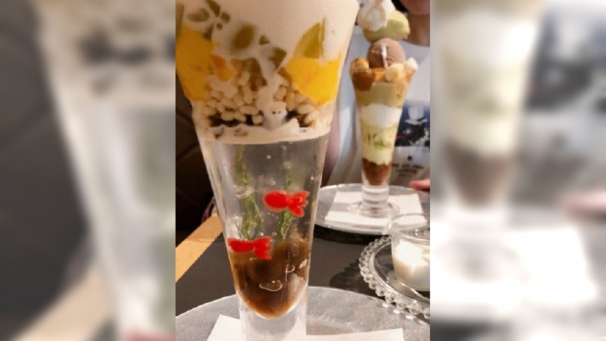 深夜吃甜點 金魚會在冰淇淋聖代中游泳