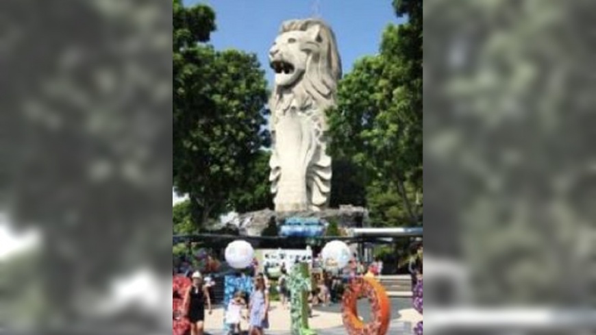 圖/翻攝自东北网微博