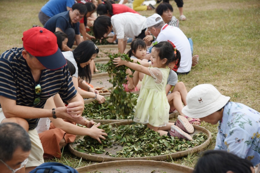 2019南投茶博會 10/10起在中興新村等你找好茶