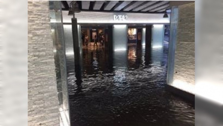 單日降下整月雨量 千葉多處淹水災情慘