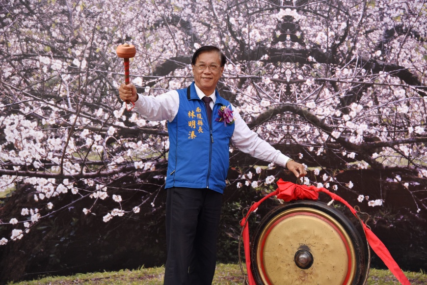 南投花卉嘉年華 梅花櫻花薰衣草接連盛開