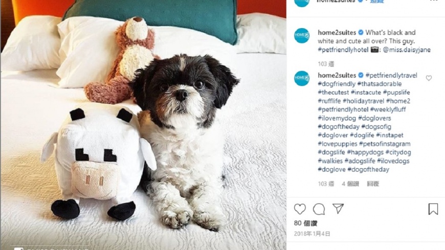 圖/翻攝自home2suites Instagram
