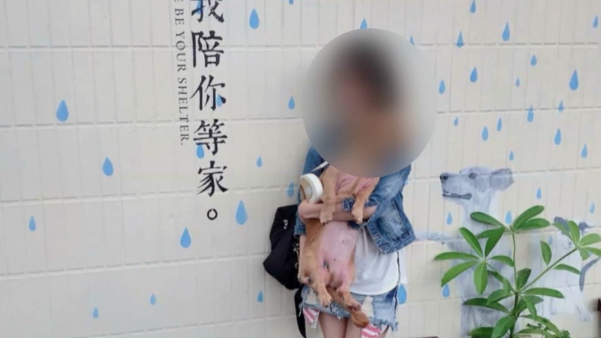 女聘員控遭性侵墜樓 市府主管哽咽「遺憾」