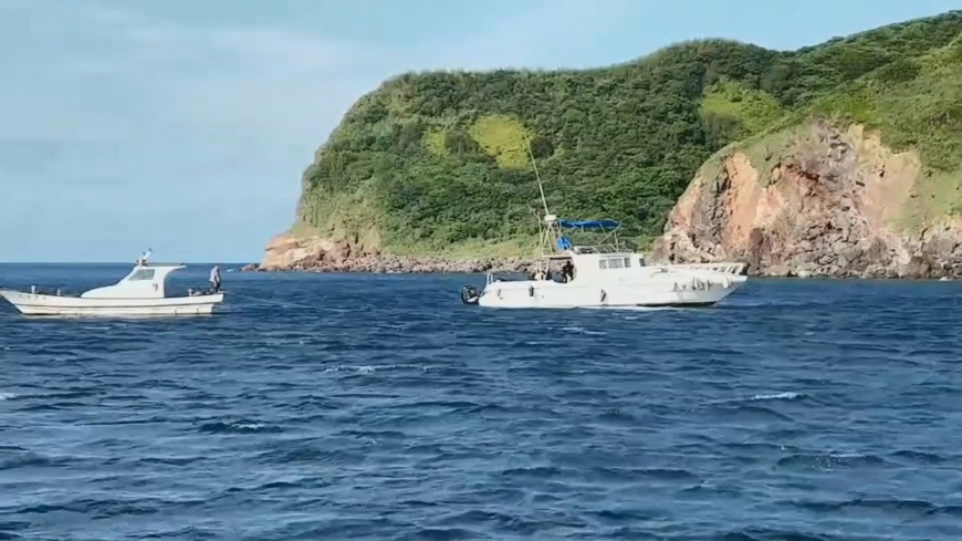 圖/賞鯨船員簡逢均提供