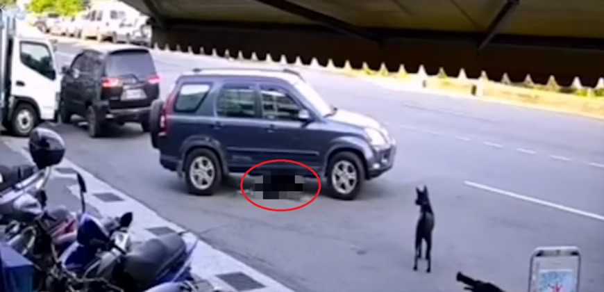 紅衣男用車2度輾狗,下車後還無情地用腳踹狗(圖/翻攝自新竹爆料公社)