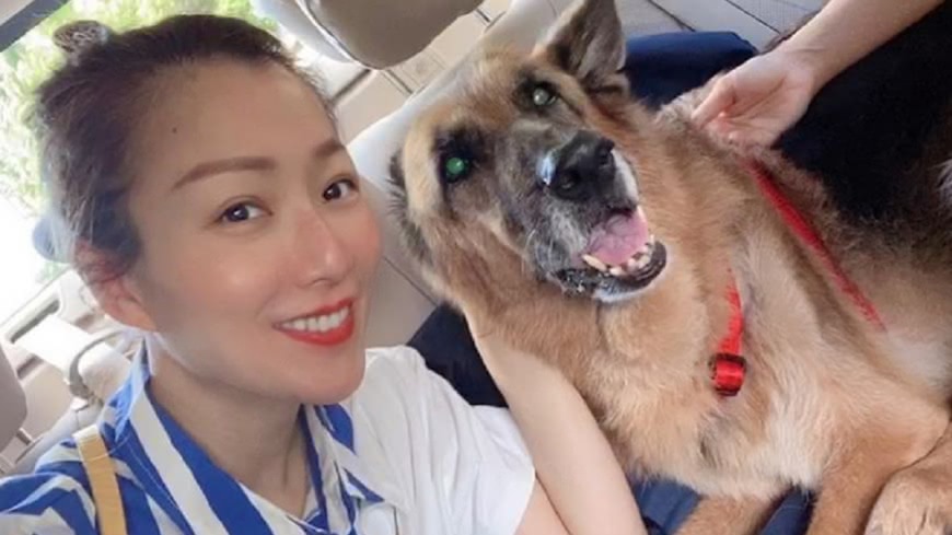 圖/翻攝自鄭秀文IG