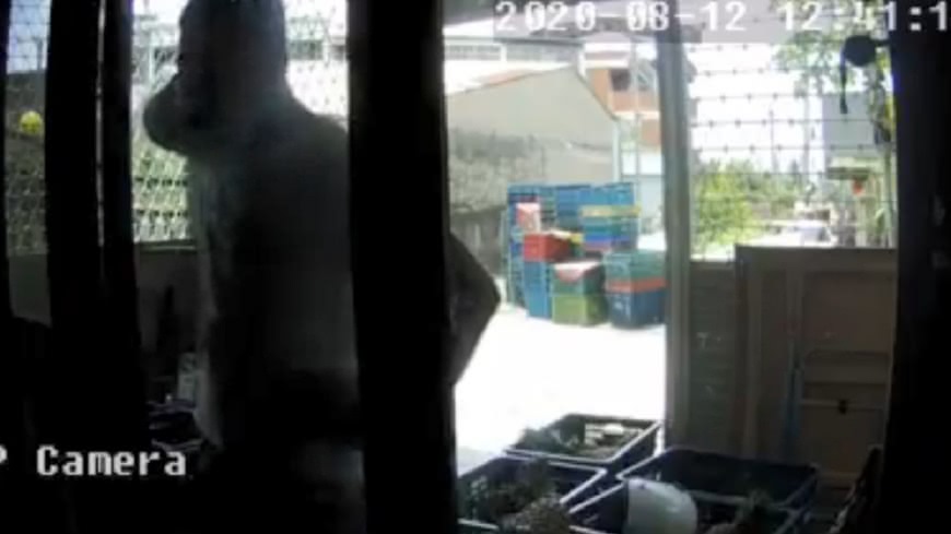 白衣男在阿嬤家門外探頭探腦。(圖/翻攝自雲林人事物)
