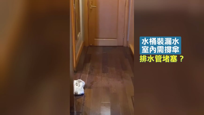 圖/翻攝自爆料公社
