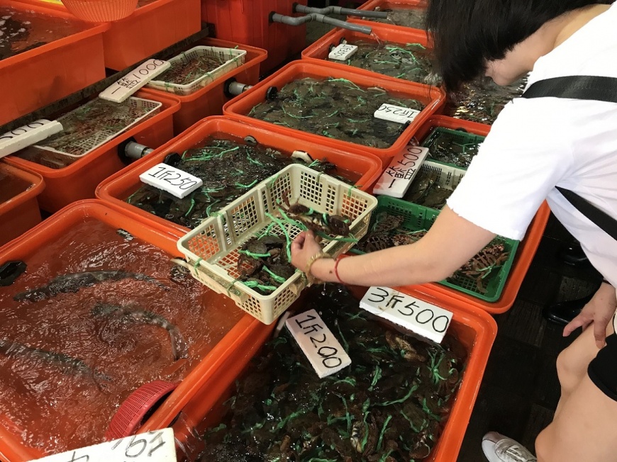 山藥萬里蟹強勢來襲,新北兩漁市慶雙十好禮大方送