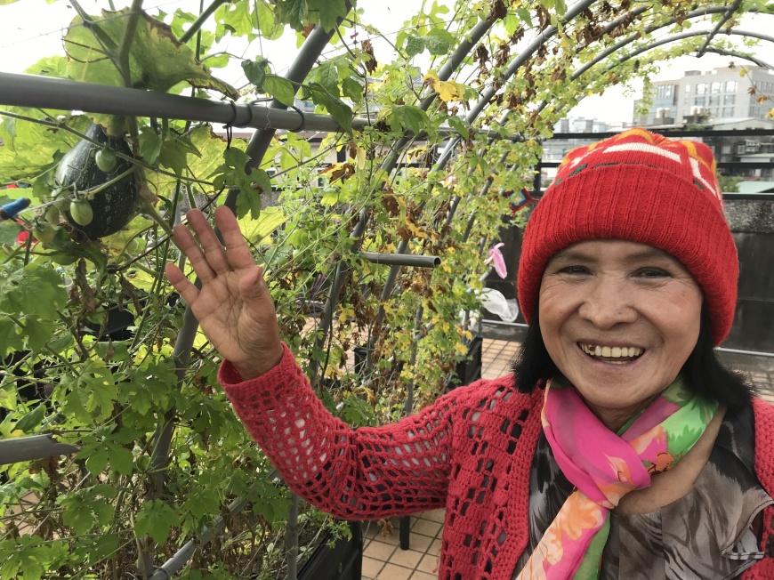 都市田園植栽 耆老種起來