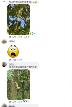 (圖/翻攝自麟洛好地方--終身麟洛魂臉書社團)