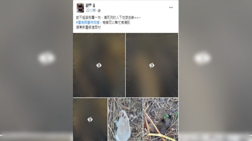 民眾氣憤發文。(圖/翻攝自臉書「屏東…狗狗 貓咪 走失 尋獲 認養 限屏東」)