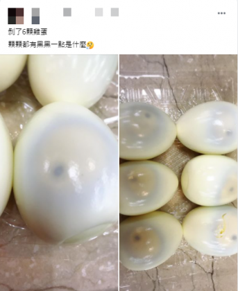 （圖／翻攝自爆廢公社二館臉書）
