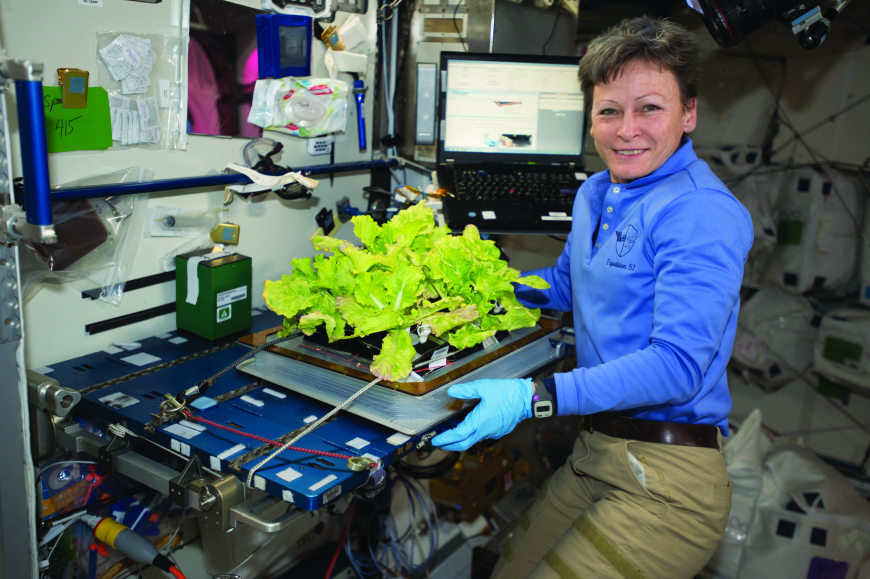 美國太空總署(NASA)在太空站種植蔬菜。(圖/翻攝自NASA官方網站)