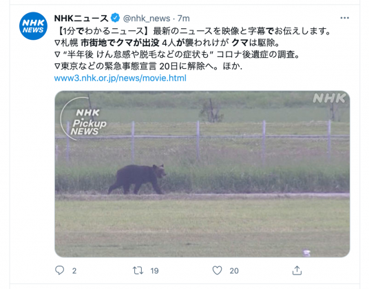 日媒NHK報導熊從市區再闖入機場內。(圖/翻攝自《NHK》推特)