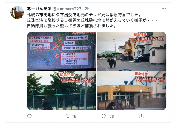 日本網友也紛紛在個人推特曬出熊跡。(圖/翻攝自@summers223推特)
