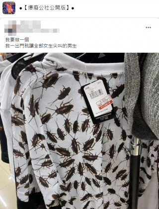 不少人直呼這穿出去恐怕會被打死。(圖/翻攝自爆廢公社公開版)