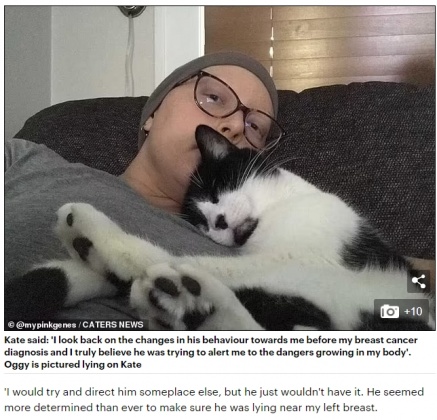 凱特(Kate King-Scribbins)與寵物貓毆吉。(圖/翻攝自《Daily Mail》)