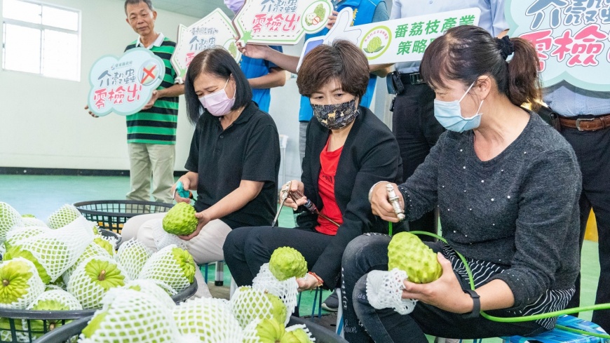 維護釋迦高品質 台東縣政府持續協助釋迦有害生物零檢出