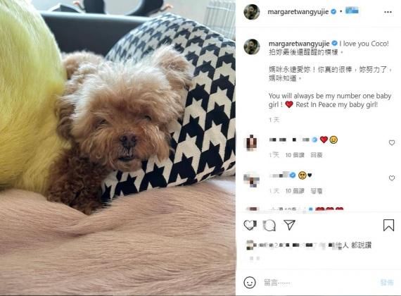 王宇婕的愛犬日前不幸離世。(圖/翻攝自王宇婕臉書)