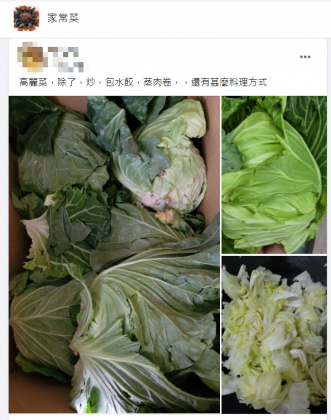 網友詢問高麗菜可以有什麼作法。（圖／翻攝自臉書）