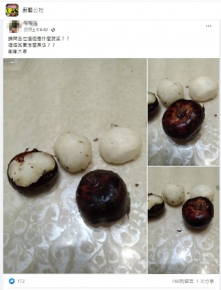 原PO發文求助網友,想問食材的名稱及該如何料理。(圖/翻攝自臉書社團「廚藝公社」)