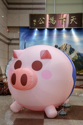 國民黨推出「健康豬」氣球，將於秋鬥遊行上街。（圖／國民黨提供）