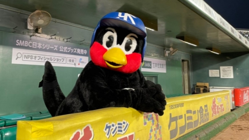 日職/養樂多吉祥物燕九郎宣布長期休養 缺席開幕戰網憂:他怎麼了