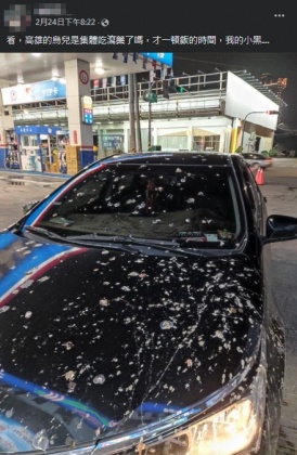 原po分享才40分鐘,車子就被噴滿白色的鳥大便。(圖/翻攝自爆廢公社公開版臉書)