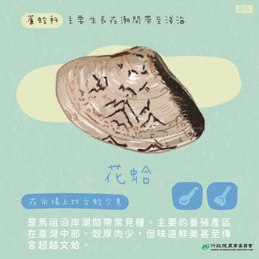 許多日料店的味噌湯都喜歡加花蛤提鮮。（圖／翻攝自行政院農業委員會臉書粉專）