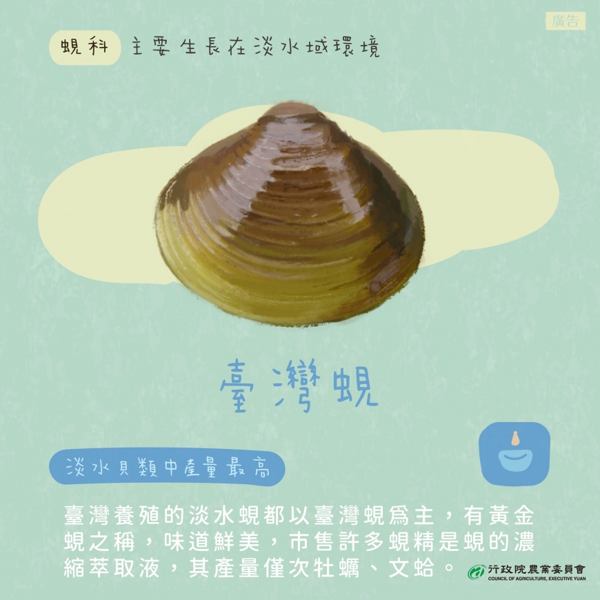 台灣蜆是製作蜆精的主要來源，也是淡水貝類中最常見。（圖／翻攝自行政院農業委員會臉書粉專）