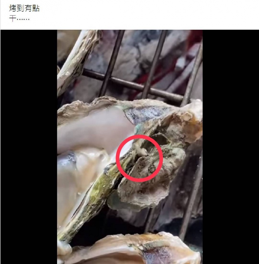 男子碳烤生蠔時,竟發現殼上有蟲子。(圖/翻攝自爆廢公社臉書)