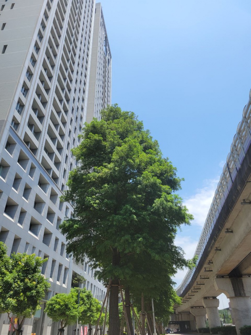 新北市林口晴空樹坐落於高架道路旁。圖片來源:齊銳廣告
