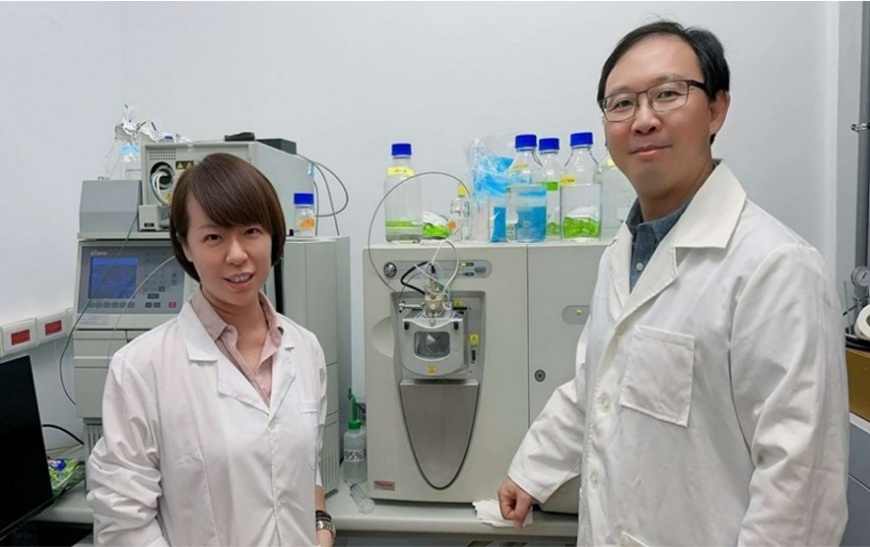 癌友新福音!小分子褐藻醣膠新製程獲國際生藥期刊及專利肯定