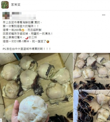 每顆龍珠大小宛如壘球這麼大讓其他網友看呆。(圖/翻攝自臉書社團「家常菜」)
