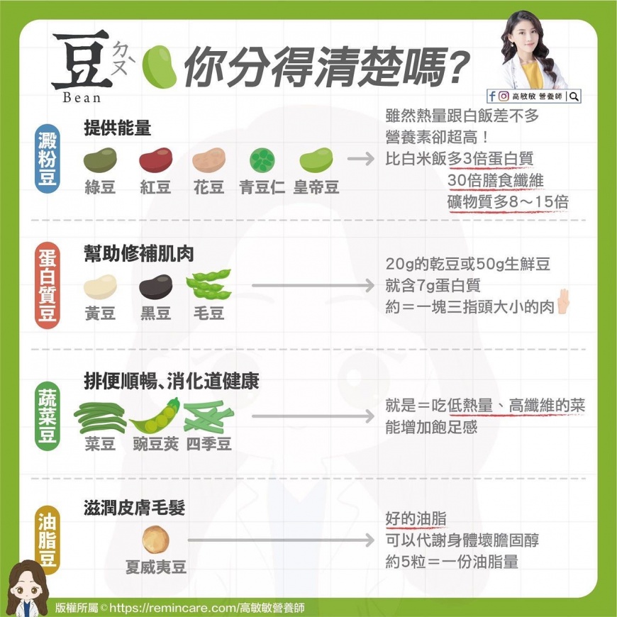 一張圖看懂各種豆類。(圖/翻攝自臉書 高敏敏營養師)