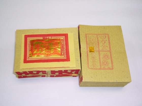 四方金(刈金)。(圖/楊登嵙提供)