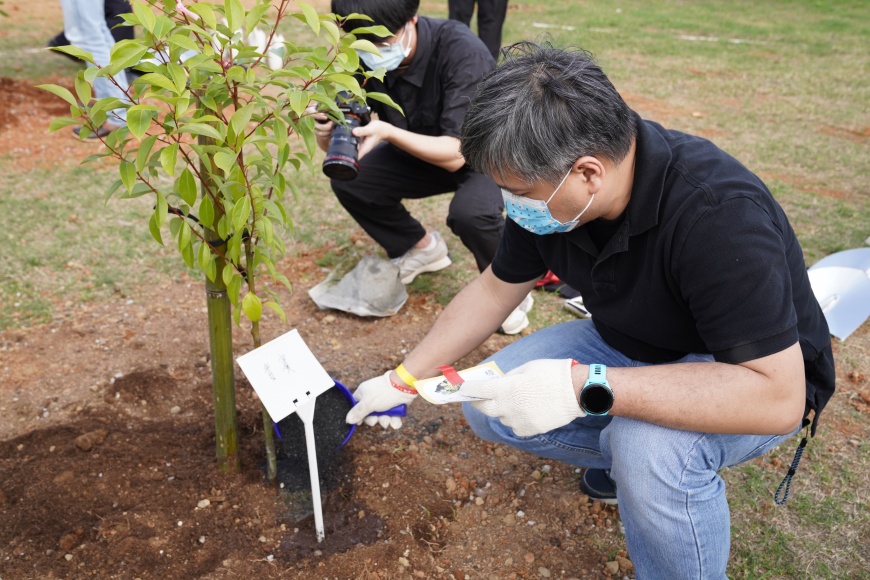 　圖說｜植樹後將周圍鋪上有黑金之稱的「生物炭」，增加土壤固碳量。