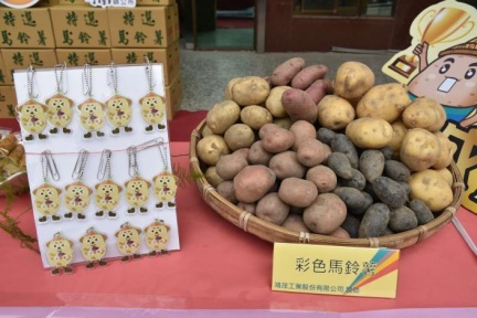 斗南是全台馬鈴薯生產重鎮 3月4日辦馬鈴薯節